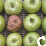 software quality real examples