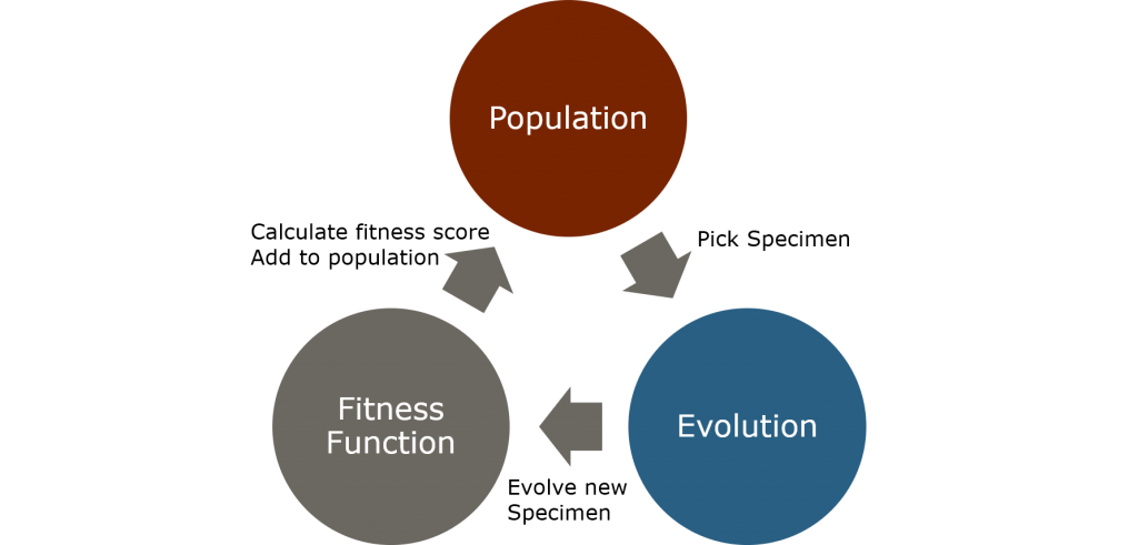 The cycle of evolution, creating new specimen from the current population through evolution.